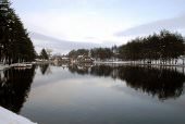 Zlatibor,izdajem apartman 60m2